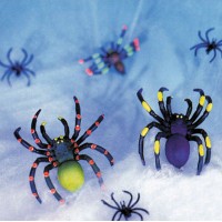 Set 10 ragni con ragnatela