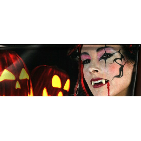 Kit Trucchi Per Effetti Speciali - Halloween PRO