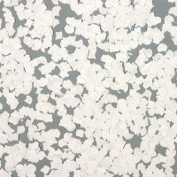 Coriandoli Reagenti Agli UV Bianchi 7mm 10kg