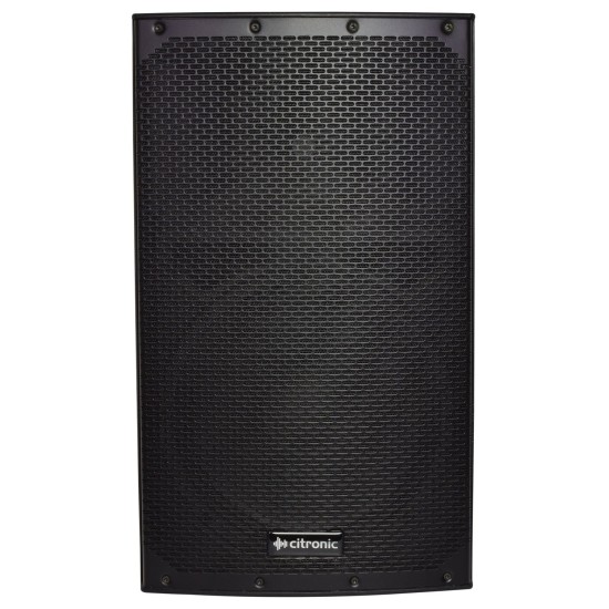 CAB-12 Cassa Passiva 300W RMS per Impianti Audio Professionali