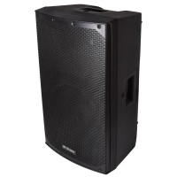 CAB-12 Cassa Passiva 300W RMS per Impianti Audio Professionali