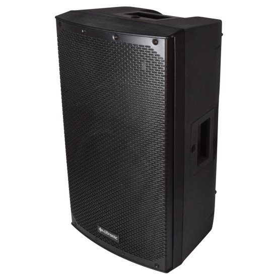 CAB-12 Cassa Passiva 300W RMS per Impianti Audio Professionali