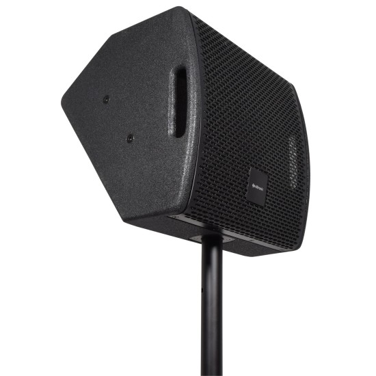 Cassa Acustica Passiva CM10 da 250W RMS per Monitoraggio e PA