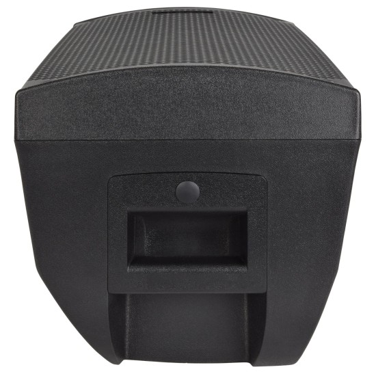 Cassa Attiva CAB-10L BT 220W con Collegamento Bluetooth e Stereo Link