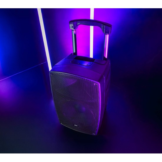 Cassa Attiva Portatile Performer-12 con Microfoni UHF Ricaricabili - 200W