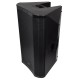 Cassa Attiva Professionale 15'' 350W RMS con USB/SD/BT e DSP - CASA-15A