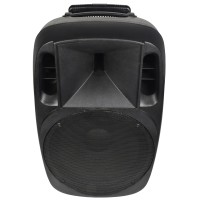 Cassa Attiva Professionale XCAB-15 con Woofer da 15