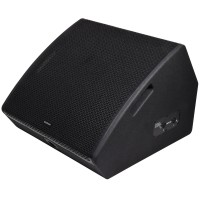 Cassa Monitor Passiva CM15 da 350W RMS con Driver Concentrici