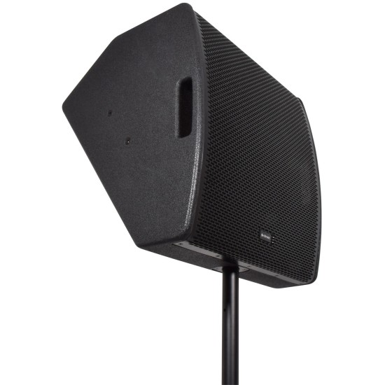 Cassa Monitor Passiva CM15 da 350W RMS con Driver Concentrici