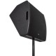 Cassa Monitor Passiva CM15 da 350W RMS con Driver Concentrici