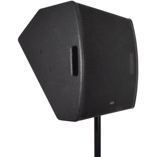 Cassa Monitor Passiva CM15 da 350W RMS con Driver Concentrici