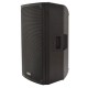 Casse Attive CAB-15L BT con Collegamento Stereo e Amplificatore da 350W