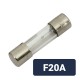 Confezione da 10 Fusibili a Vetro Rapida Interruzione 5 x 20mm F20A 250V