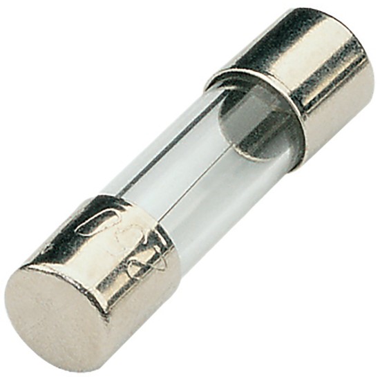 Confezione da 10 Fusibili Rapidi 5x20mm F100mA per Impianti Professionali