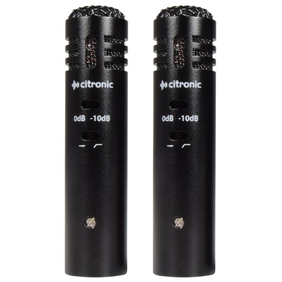 Coppia Microfoni a Condensatore EC20 - Stereo ad Alta Sensibilità