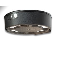 Lampada Solare Fortunato con Sensore di Movimento, LED 4000K, Nero