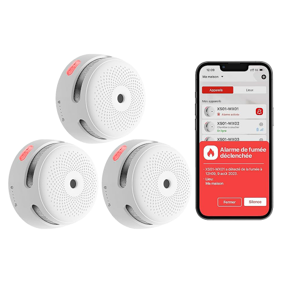 Kit Rilevatori di Fumo e Monossido di Carbonio X-Sense Link+PRO con Centralina RF