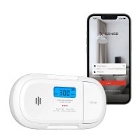 Rilevatore di Monossido di Carbonio Wi-Fi con Batteria Sostituibile