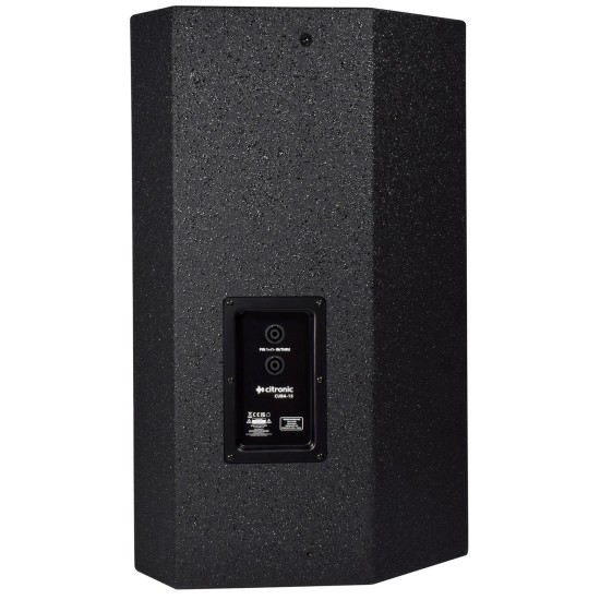 CUBA-15: Cassa Passiva Full-Range in Legno per Audio Professionale