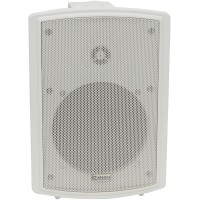 Diffusore Acustico FSV-W Alta Prestazione, 100V Linea, 8 Ohm, 65W RMS, Bianco