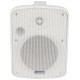 Diffusore Compatto FC5V-W 100V da 5.25 pollici, Bianco, per Esterni e Interni