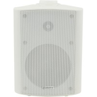 Diffusore da Incasso 100V BP5V-W 5.25