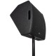 Diffusore Passivo CM12 300W RMS con Driver HF Concentrici