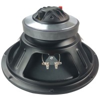 Driver Coassiale 12in LF+HF 300W 4ohm per Casse Full Range