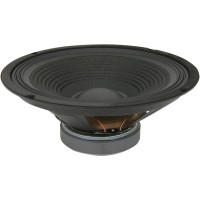 Driver di Ricambio 4 Ohm 10