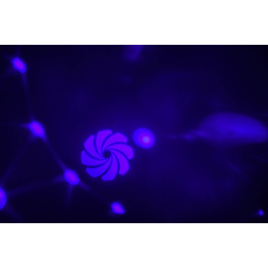 Effetto Luce LED da Tavolo con GOBOs per Feste e Piccoli Eventi