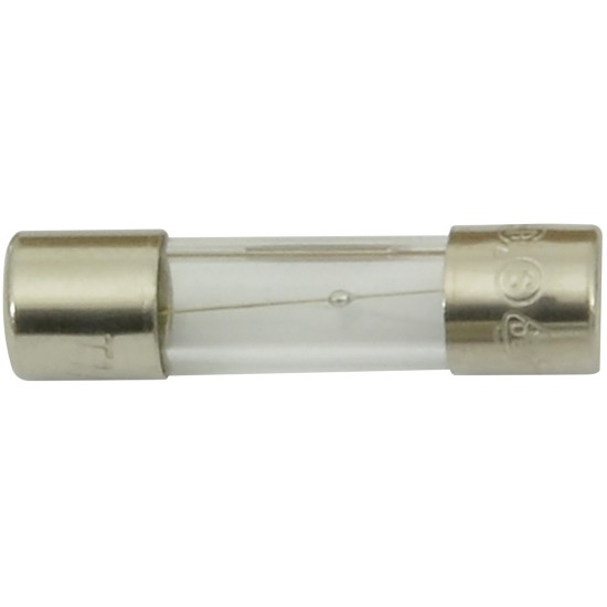 Fusibili in Vetro T100mA 5x20mm a Ritardo per Sistemi Audio e Luci - 10 Pezzi