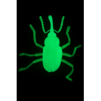 Insetto Fosforescente Decorativo per Halloween – Realistico, Luminoso al Buio, Perfetto per Allestimenti Spaventosi - modello 2