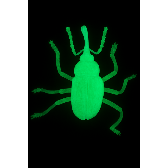 Insetto Fosforescente Decorativo per Halloween – Realistico, Luminoso al Buio, Perfetto per Allestimenti Spaventosi - modello 2