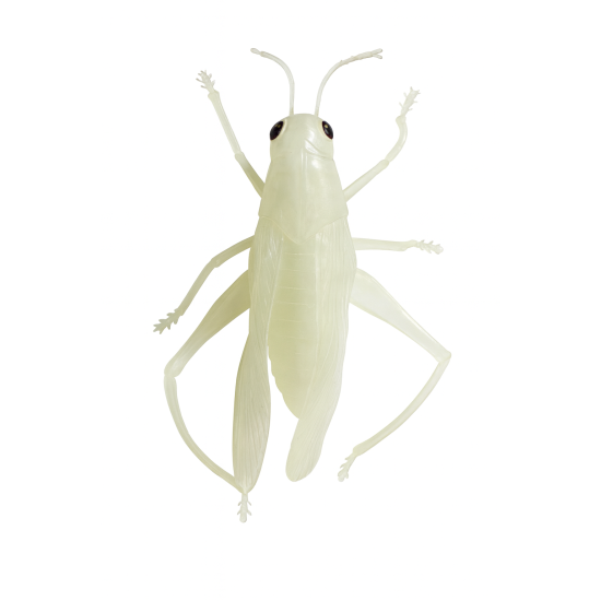 Insetto Fosforescente Decorativo per Halloween – Realistico, Luminoso al Buio, Perfetto per Allestimenti Spaventosi - modello 3