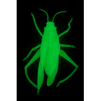 Insetto Fosforescente Decorativo per Halloween – Realistico, Luminoso al Buio, Perfetto per Allestimenti Spaventosi - modello 3
