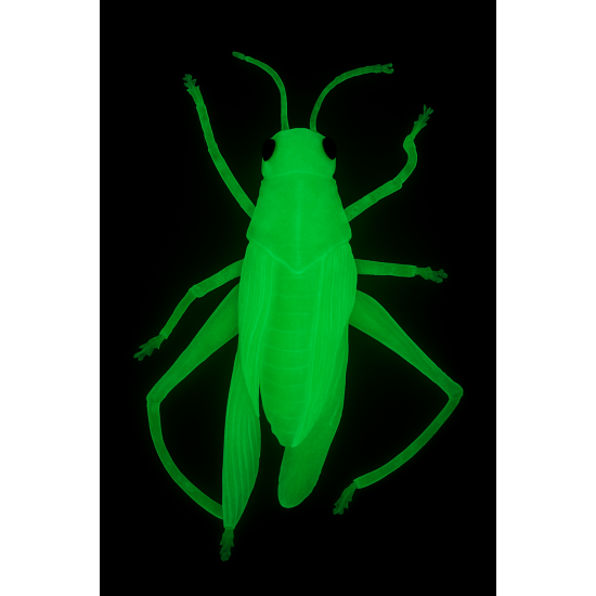 Insetto Fosforescente Decorativo per Halloween – Realistico, Luminoso al Buio, Perfetto per Allestimenti Spaventosi - modello 3