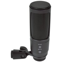 Microfono a Condensatore USB per Registrazione con Supporto - Ideale per Podcast e Voce