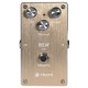 Pedale Effetto Delay DL-50 per Chitarra e Basso con Controlli Regolabili