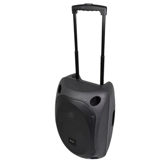 QOVA-12PA Sistema PA Portatile Professionale con Microfoni UHF e Effetti DSP