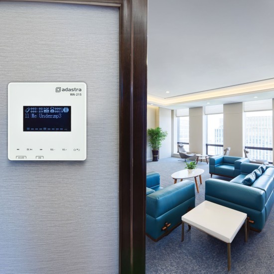 Set Amplificatore WA-215 e Diffusori da Soffitto: Sistema Audio Completo