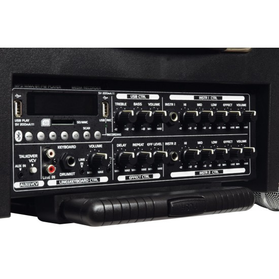 Unità PA Portatile DELTA-200: Potente Sistema Audio con Microfoni Wireless