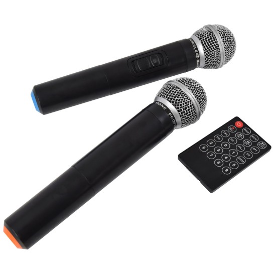 Unità PA Portatile QX12PA con Lettore USB/SD/FM e Bluetooth