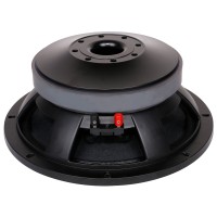 Woofer Professionale 12