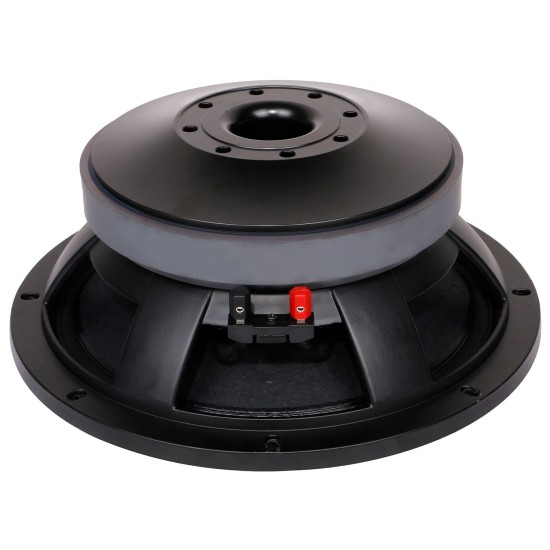 Woofer Professionale 12